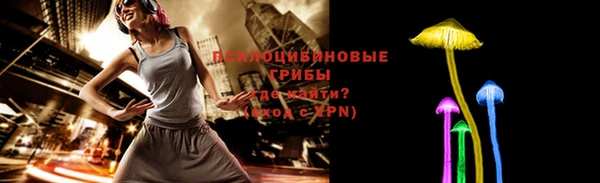 амф Пересвет