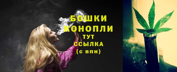соль ск Пестово
