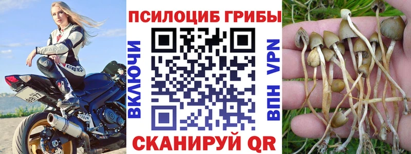 Галлюциногенные грибы прущие грибы  купить наркотик  площадка как зайти  Тайга 